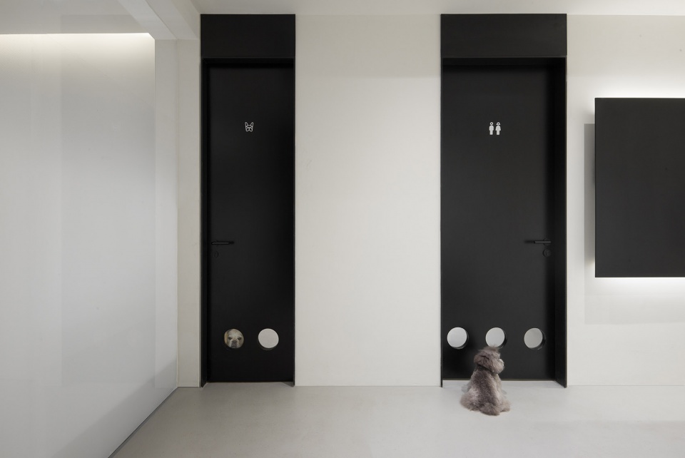 nova pets china by say architects