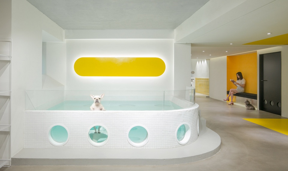 nova pets china by say architects