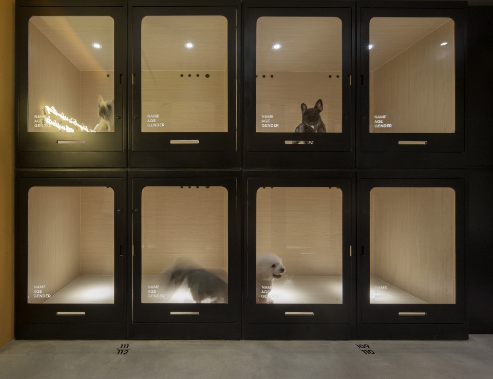 nova pets china by say architects