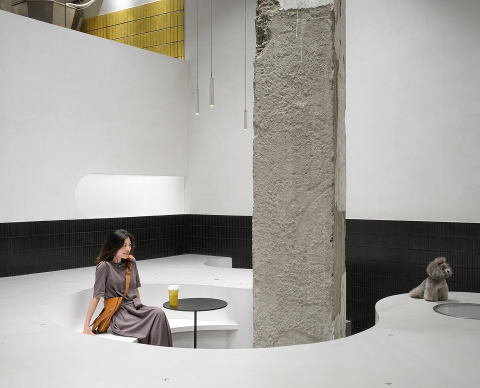 nova pets china by say architects