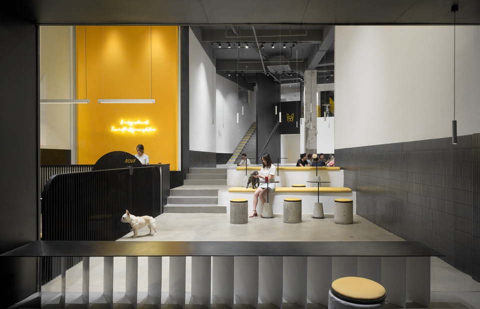 nova pets china by say architects
