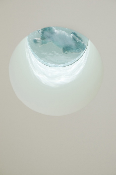 nova pets china by say architects