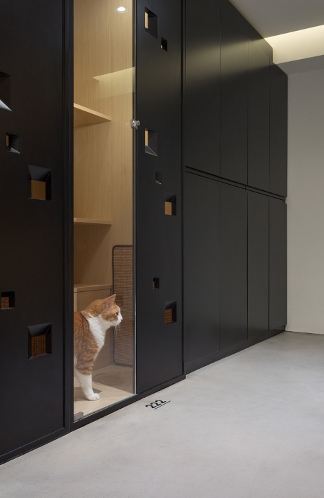 nova pets china by say architects