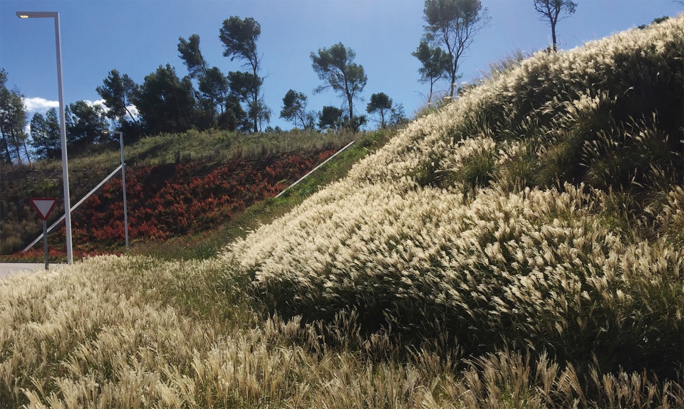 landscape project for the mango logistic center by aeland 1