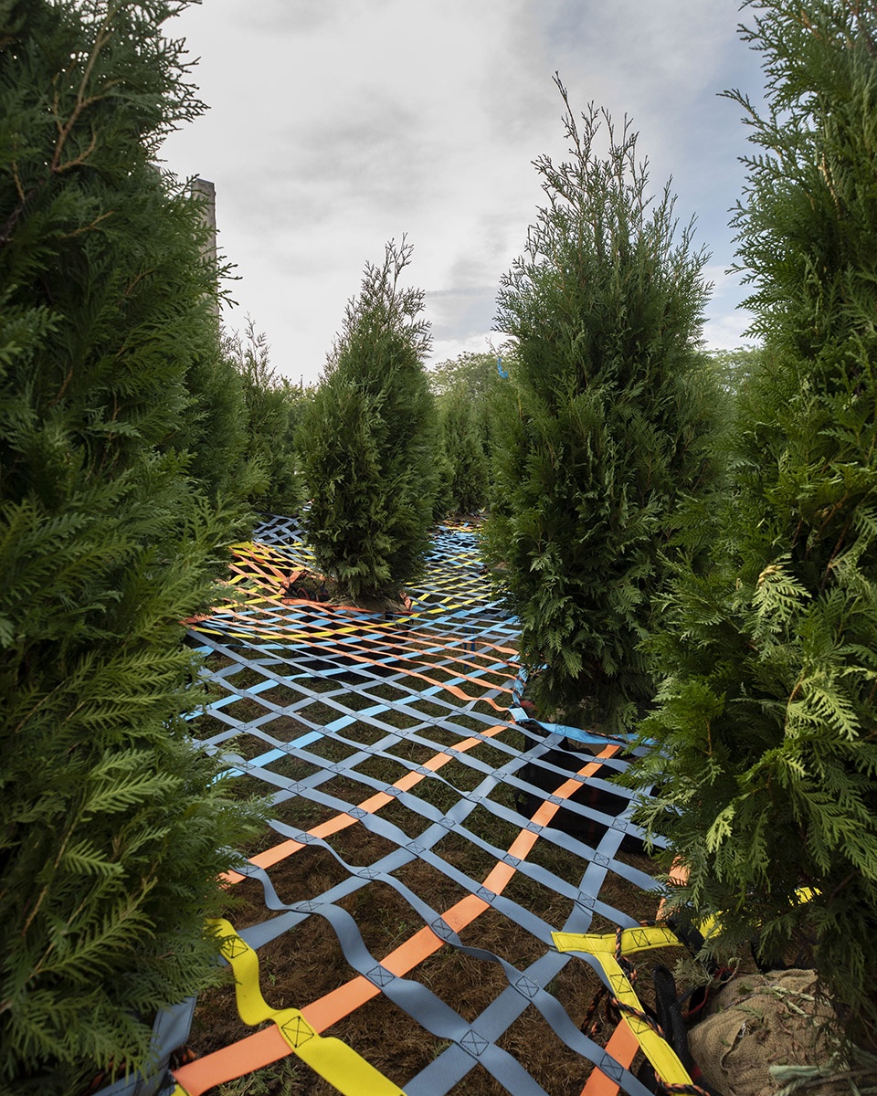 into the hedge by so il architects