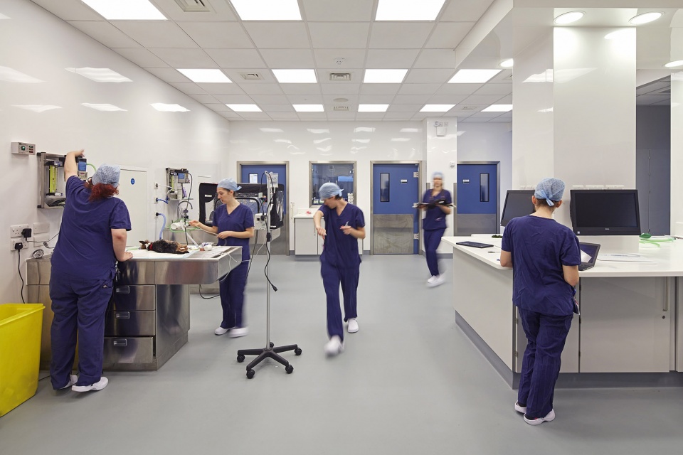 Veterinary Hospital by Jonathan Clark Architects