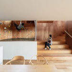 塚脇住宅，日本 / Horibe Associates