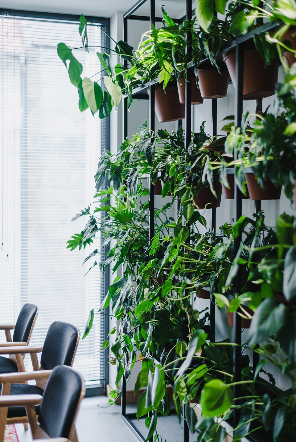 intive office by mixd