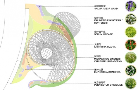 black hole china by bjfu student team