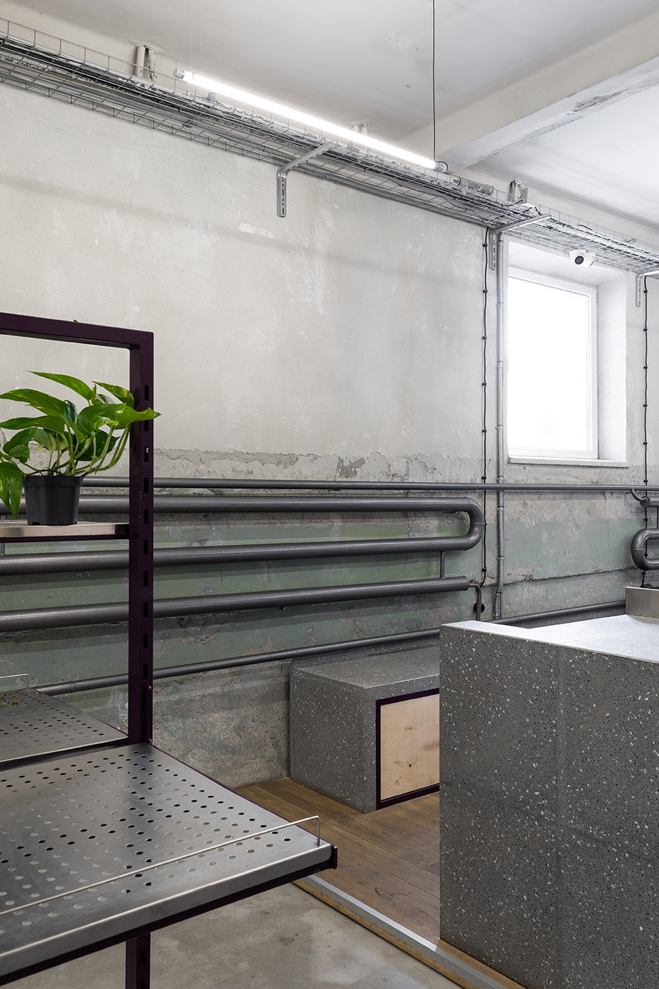 a wholesale flower store by rina lovko studio