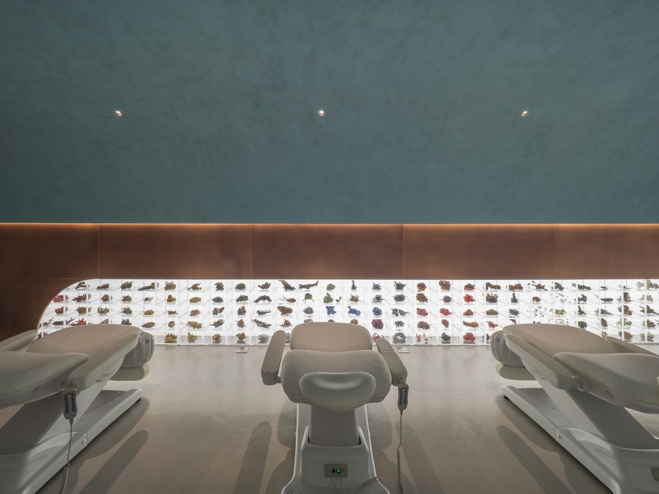 exhibition of frozen time china by waterfrom design