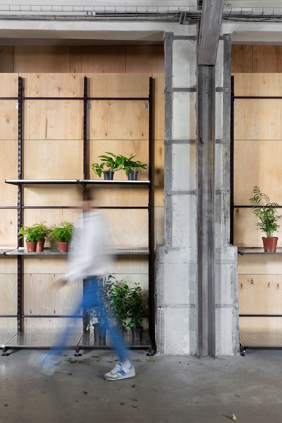 a wholesale flower store by rina lovko studio