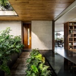 P29住宅，墨西哥城 / Vgz arquitectura