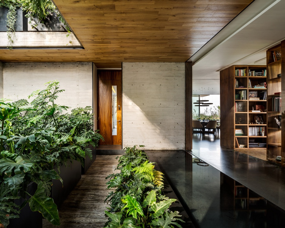 house p29 by vgz arquitectura