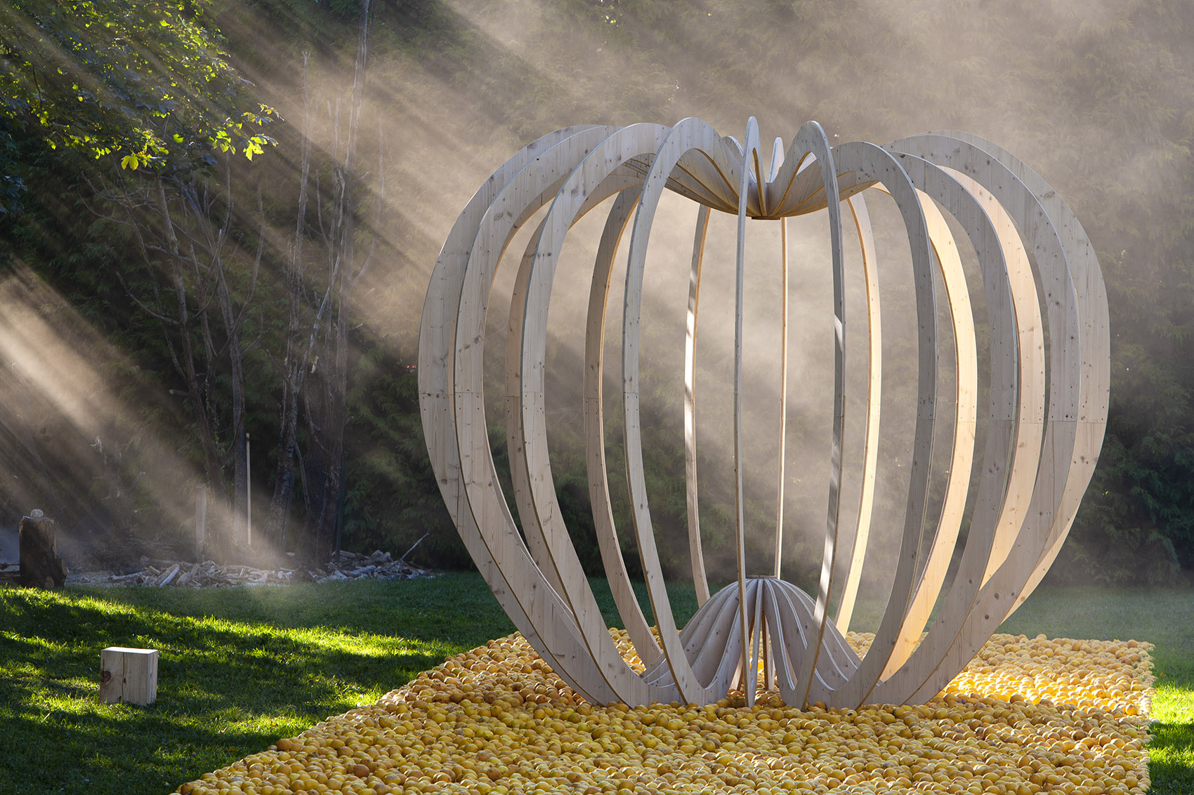 tree of knowledge by nomad studio