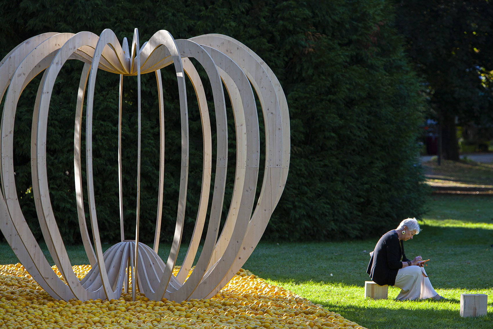tree of knowledge by nomad studio