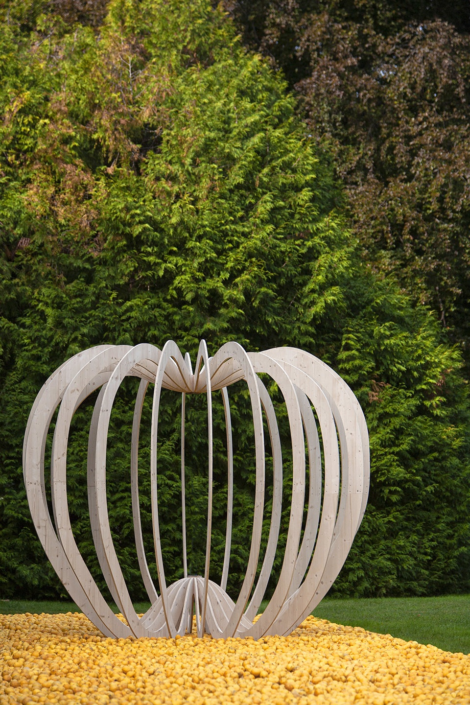 tree of knowledge by nomad studio
