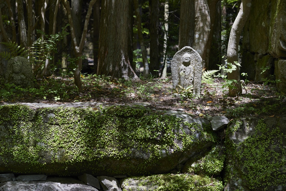 aman kyoto kerry hill architects