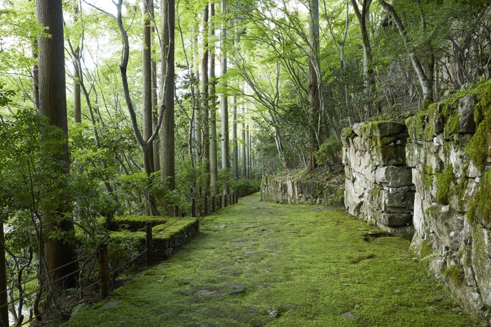 aman kyoto kerry hill architects