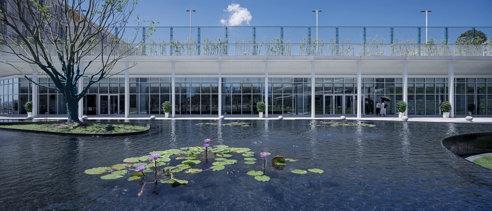 chongqing nankai liang jiang secondary school china by gad