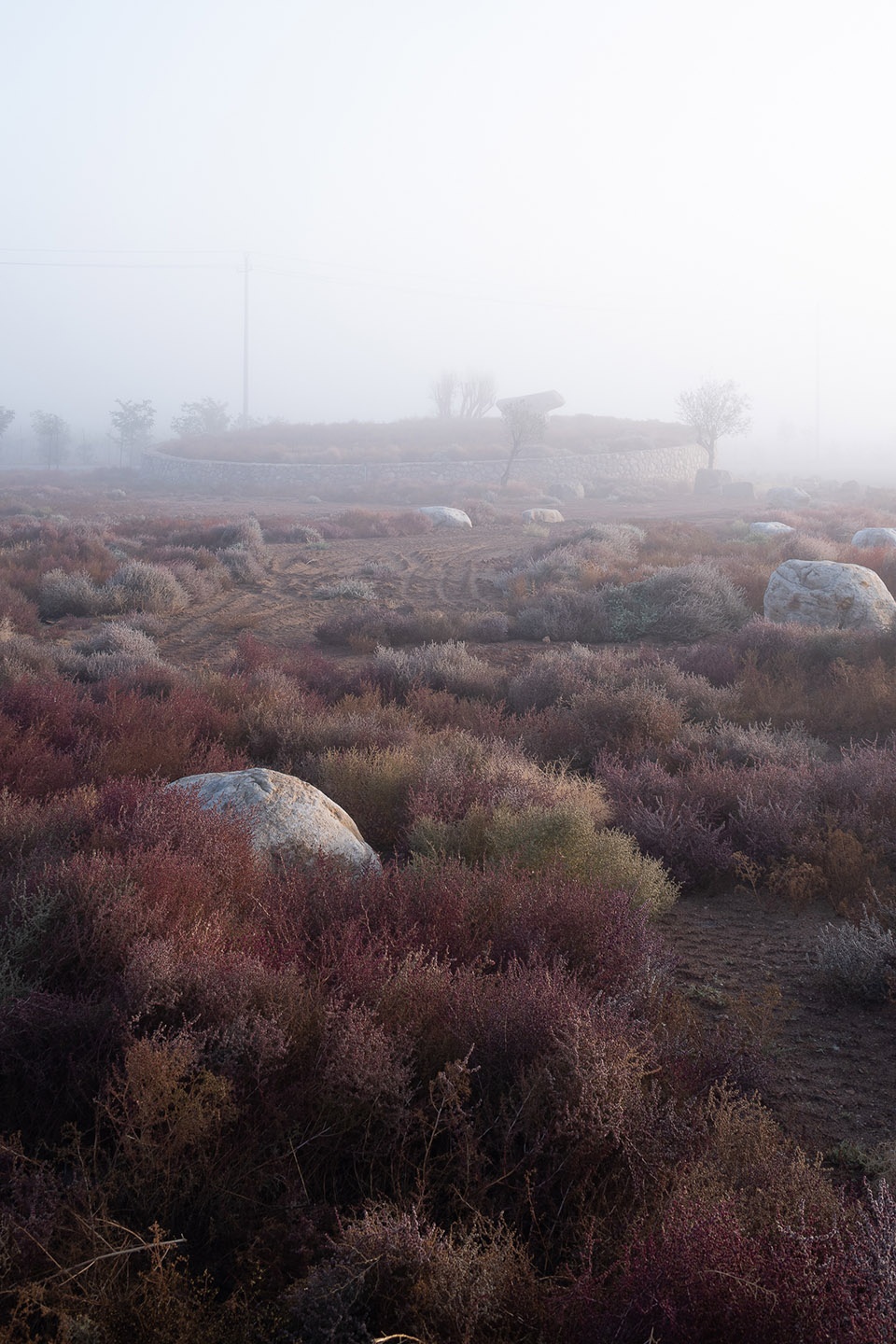 ningxia xige estate china by saussure architects