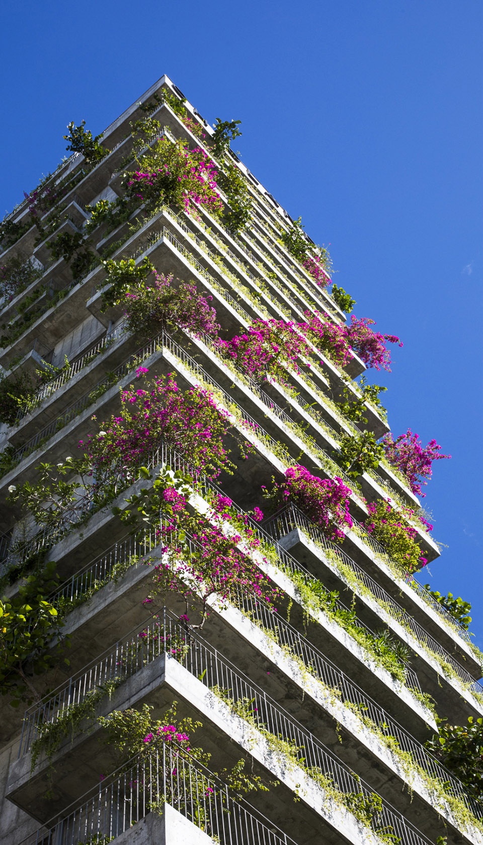 chicland hotel danang by vtn architects