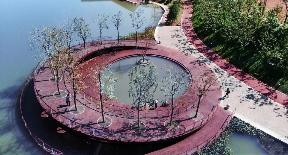 water platform of anlan lake park tree loop china by folie architecture