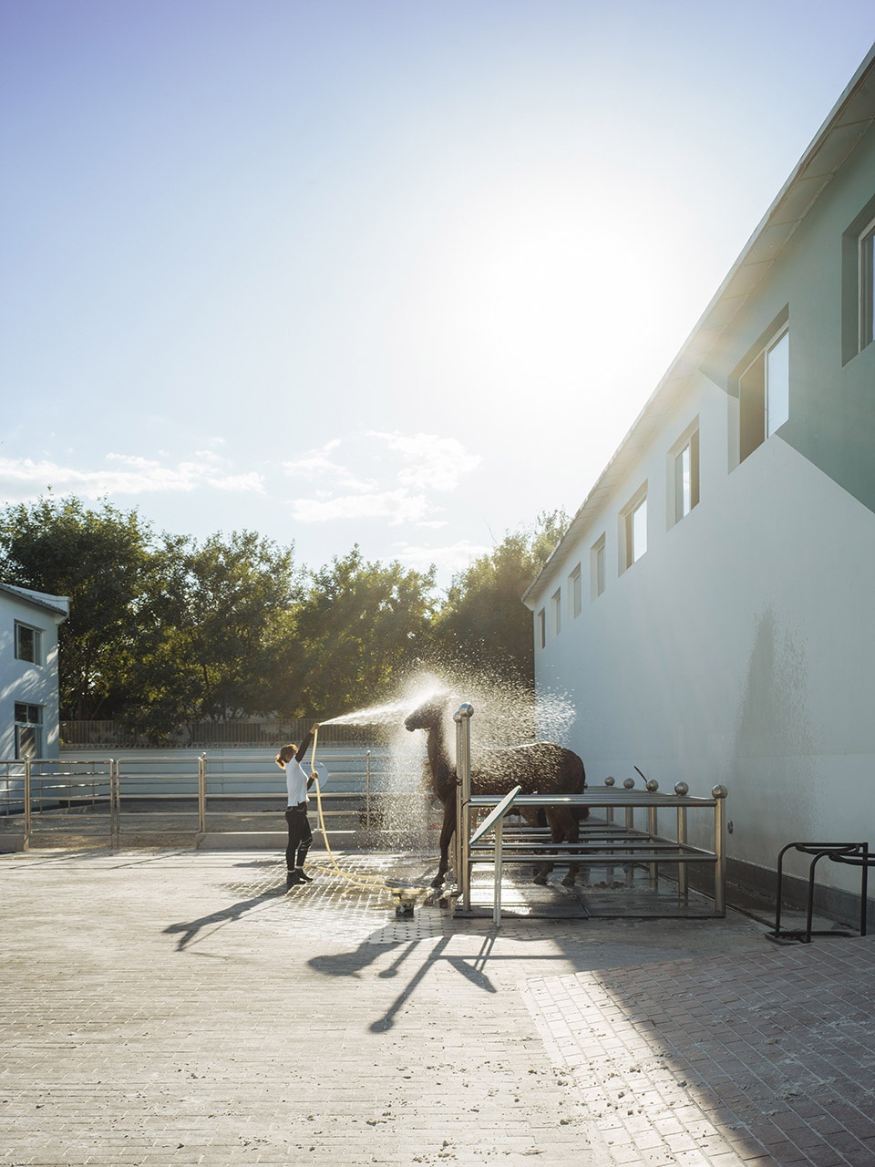 rider partner equestrian club china by dl atelier