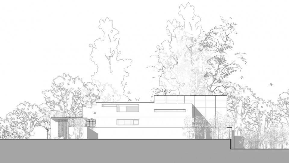 yard under the tree china by evolution design