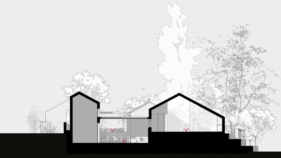 yard under the tree china by evolution design
