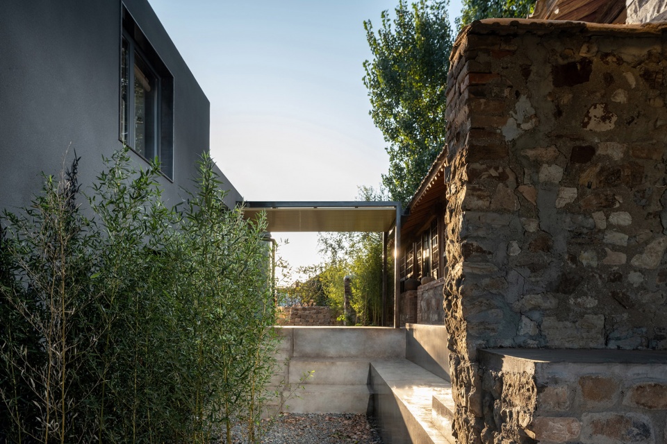 yard under the tree china by evolution design