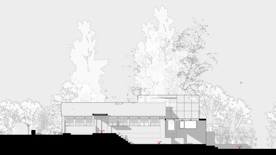 yard under the tree china by evolution design