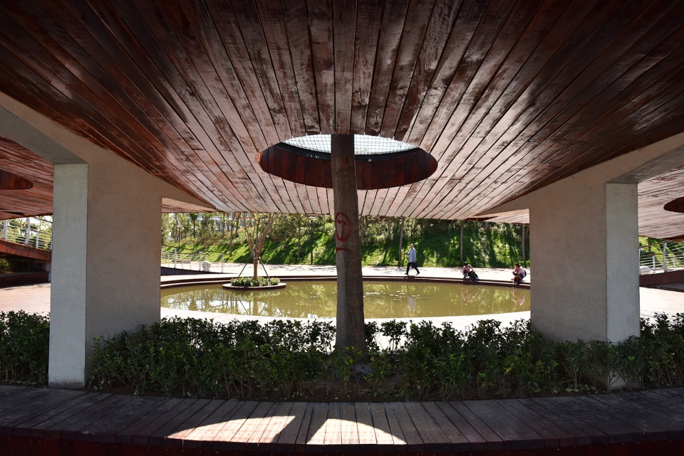 water platform of anlan lake park tree loop china by folie architecture
