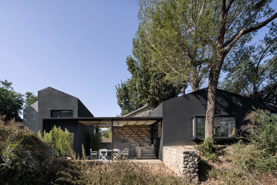 yard under the tree china by evolution design