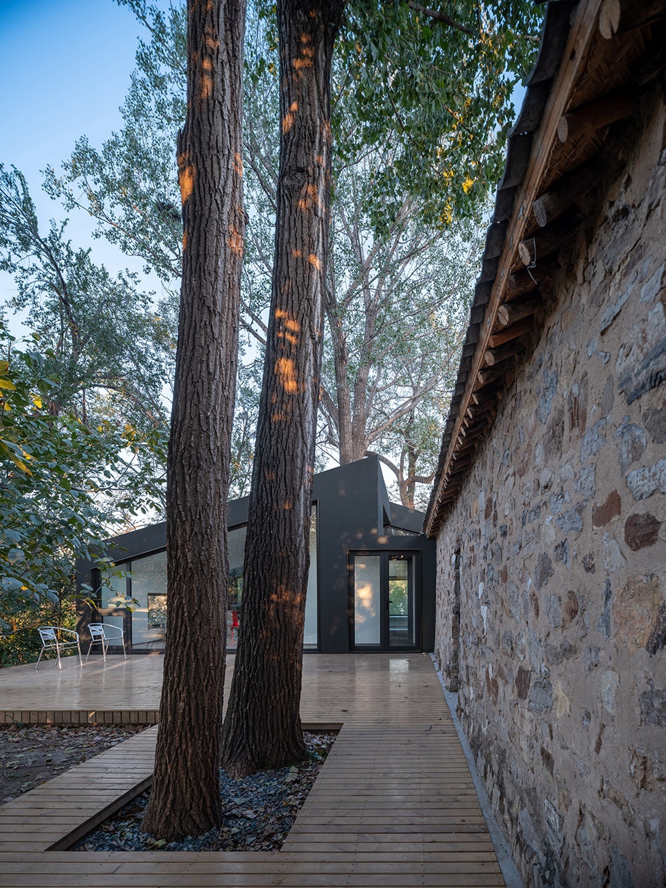 yard under the tree china by evolution design