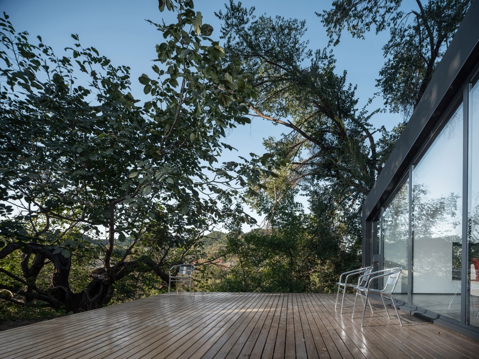 yard under the tree china by evolution design