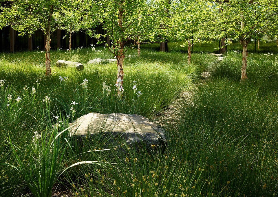 2019 asla general design award of honor washington fruit produce company headquarters by berger partnership