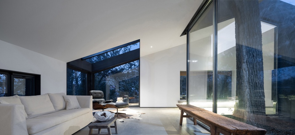yard under the tree china by evolution design