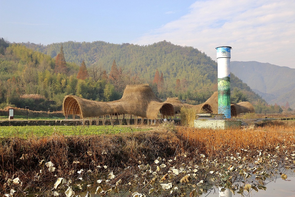 bamboo corridor Beijing Forestry University
