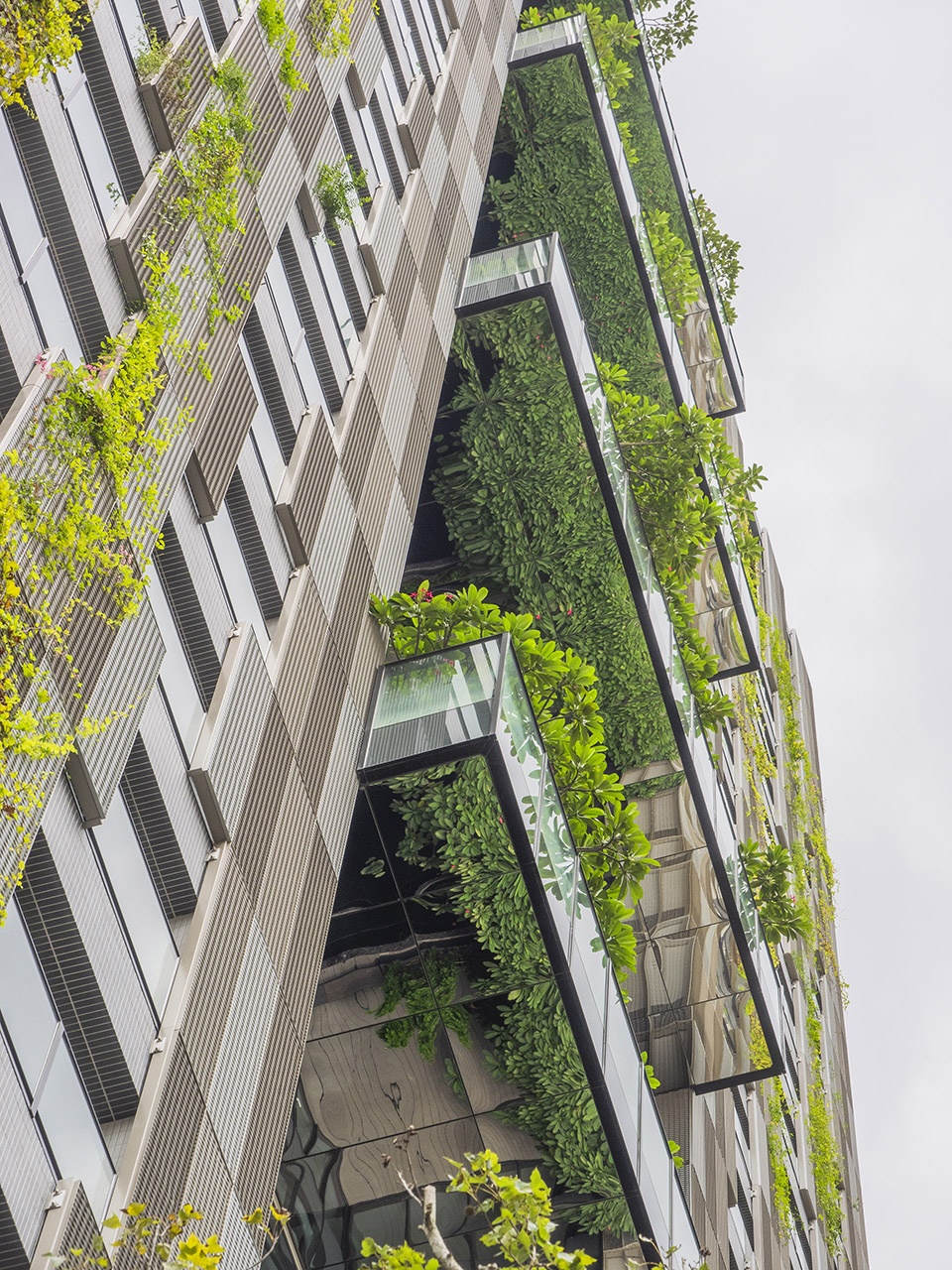 sky green by woha