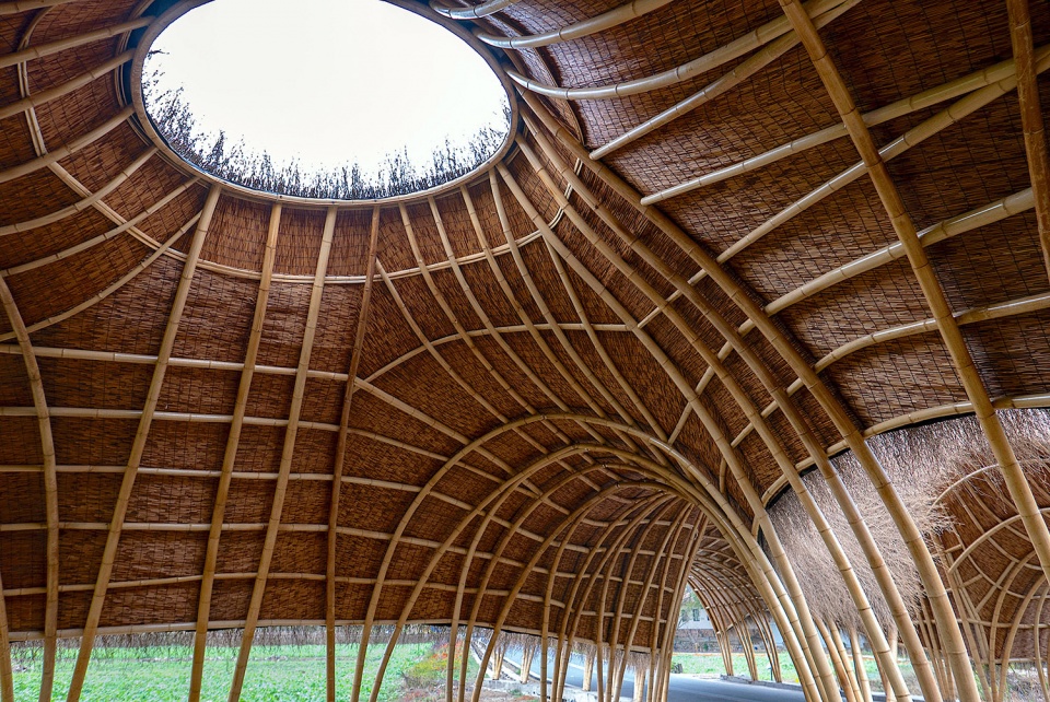 bamboo corridor Beijing Forestry University