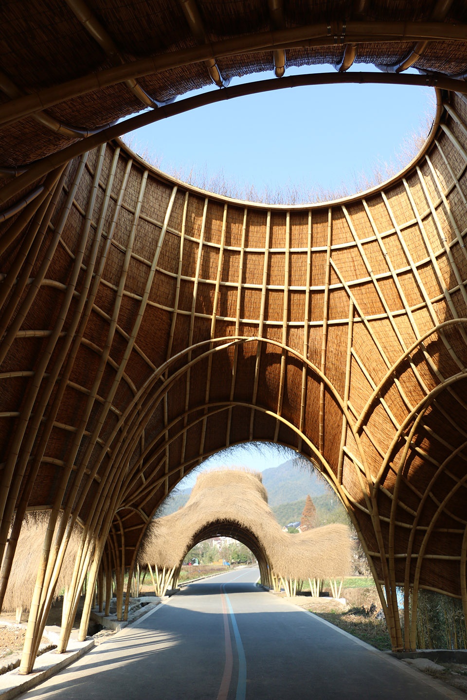 bamboo corridor Beijing Forestry University
