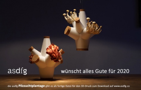asdfg pilzzuchtplantage 2020
