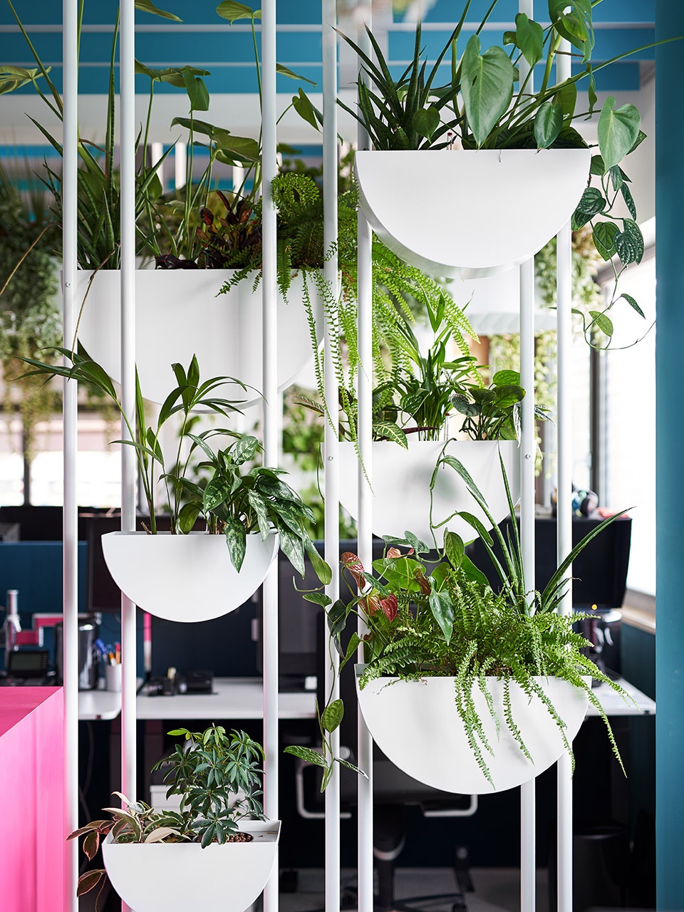 the new headquarters of roman klis design by ippolito fleitz group