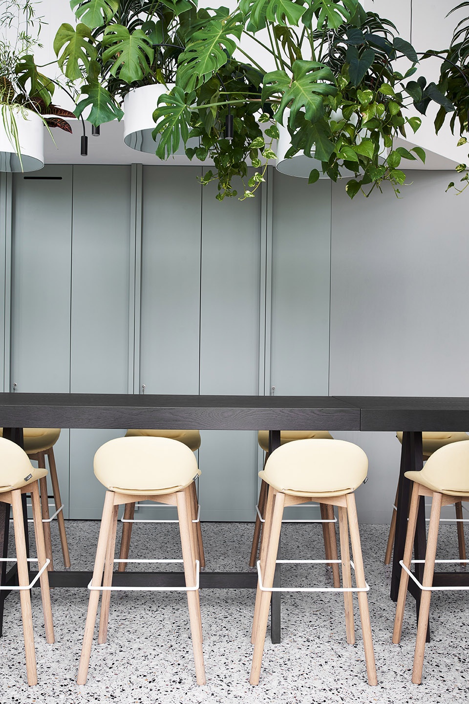 the new headquarters of roman klis design by ippolito fleitz group