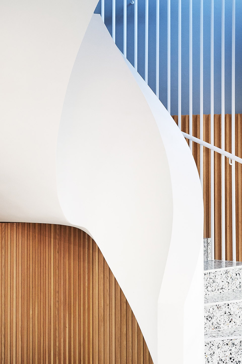 the new headquarters of roman klis design by ippolito fleitz group