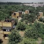The Tinest Cottage, China by Beijing Jiaotong University + University of Cincinnati