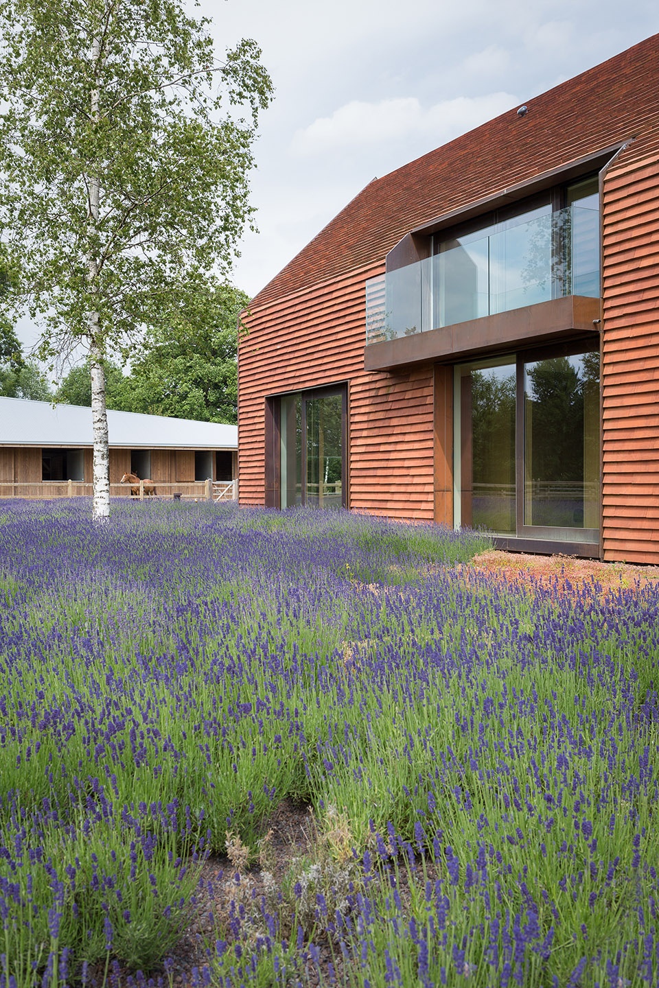 house olmen by pascal françois architects