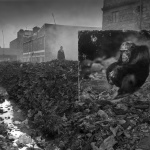 Photography: INHERIT THE DUST, China by Nick Brandt