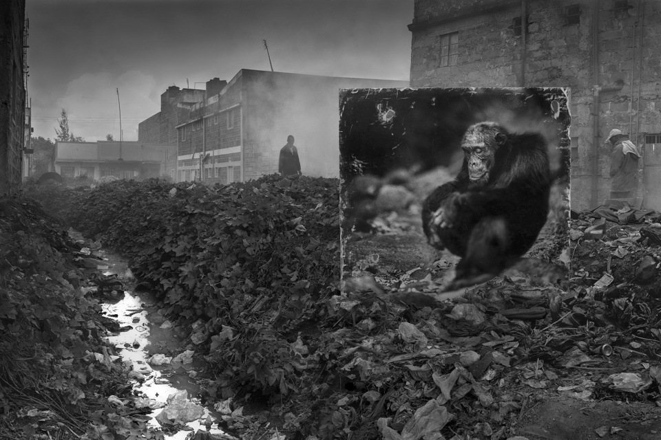 inherit the dust china by nick brandt.jpg